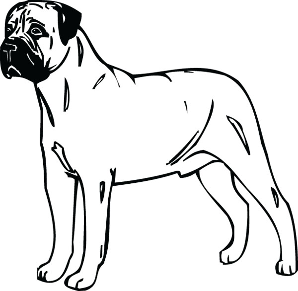 Bull Mastiff Clipart.