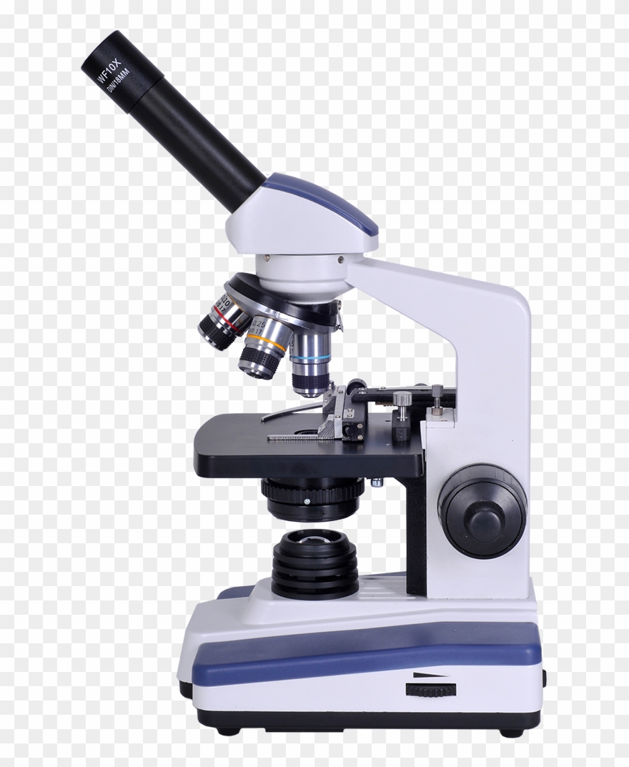 Microscope Free Download Clip Art On Clipart.