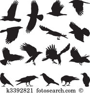 Migrate Clip Art EPS Images. 402 migrate clipart vector.