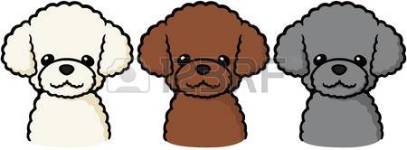 395 Toy Poodle Stock Illustrations, Cliparts And Royalty Free Toy.