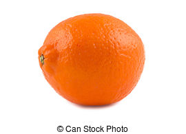 Stock Photographs of Minneola orange.