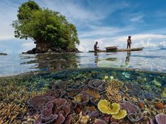 Papua New Guinea landscapes.