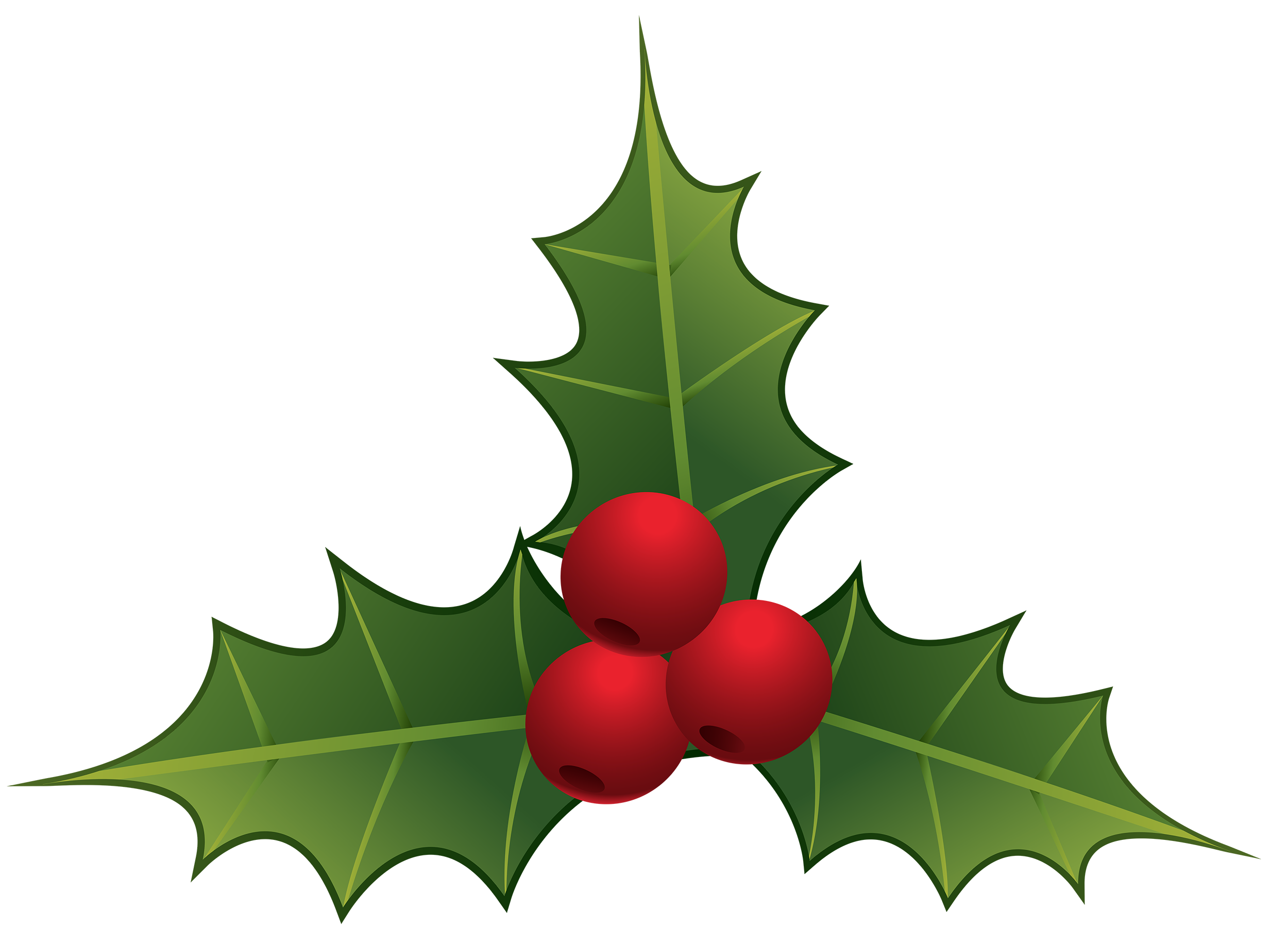 Mistletoe clipart web.