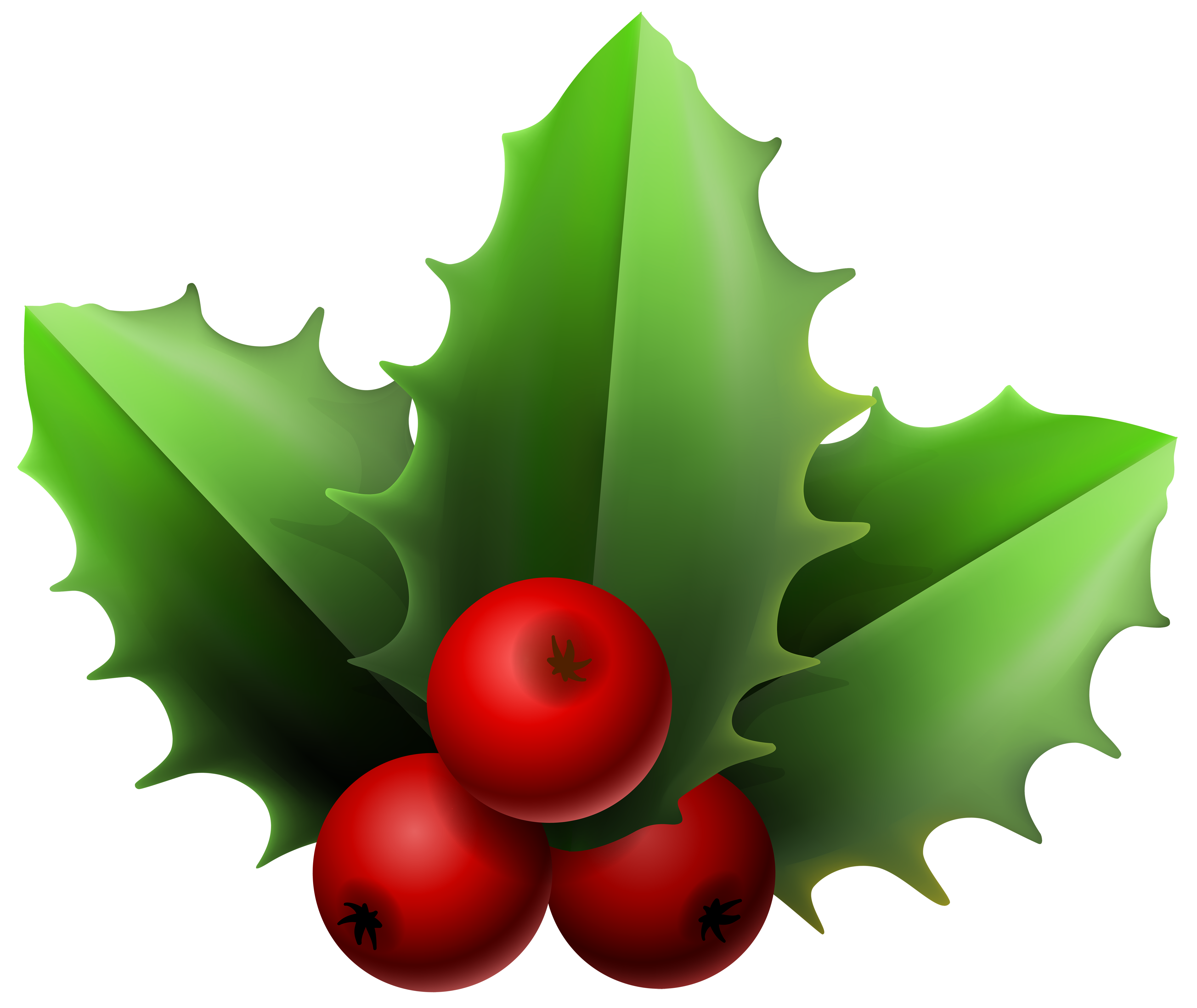 Christmas Mistletoe PNG Clipart Image.