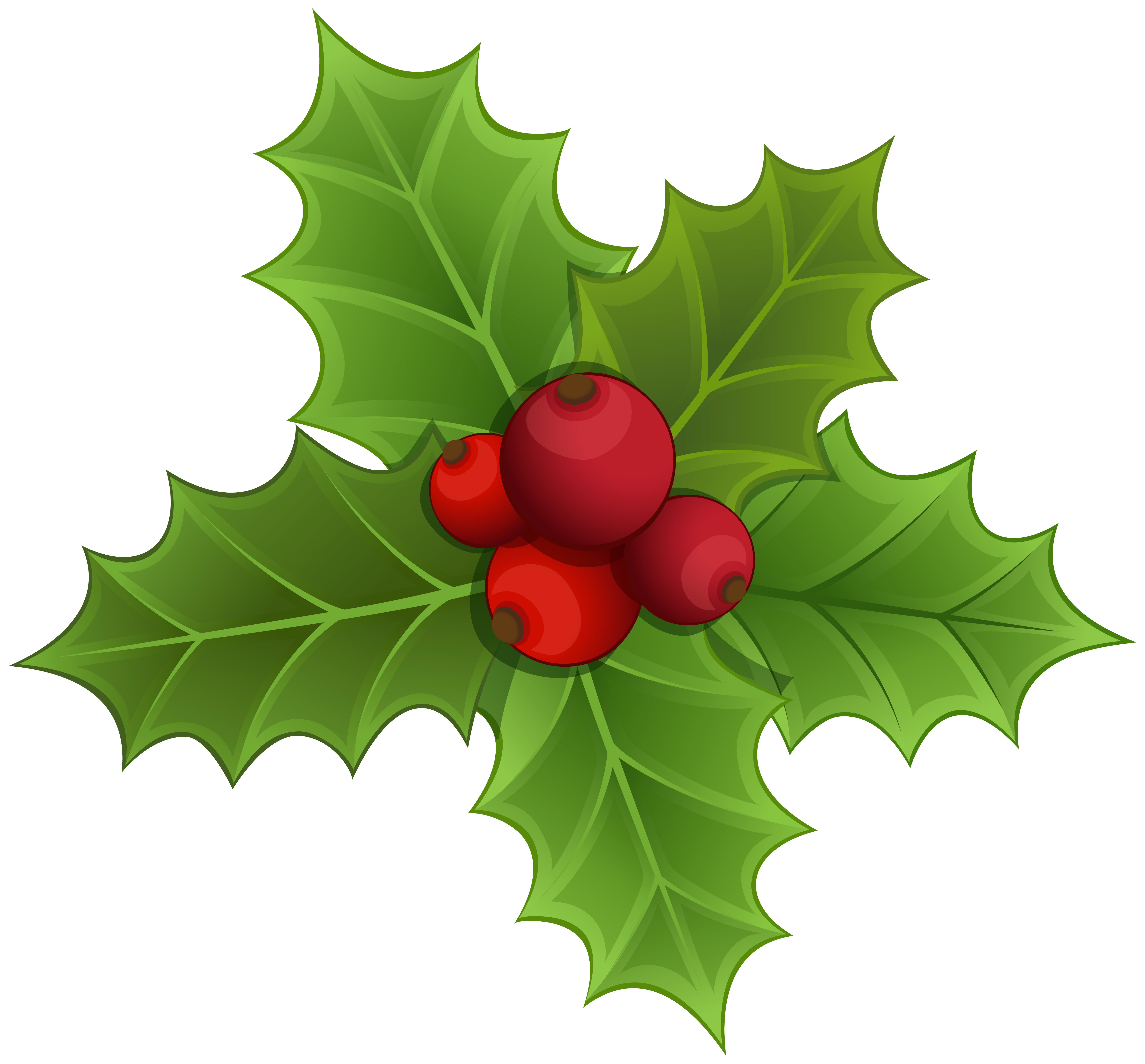 Mistletoe PNG Clipart Image.