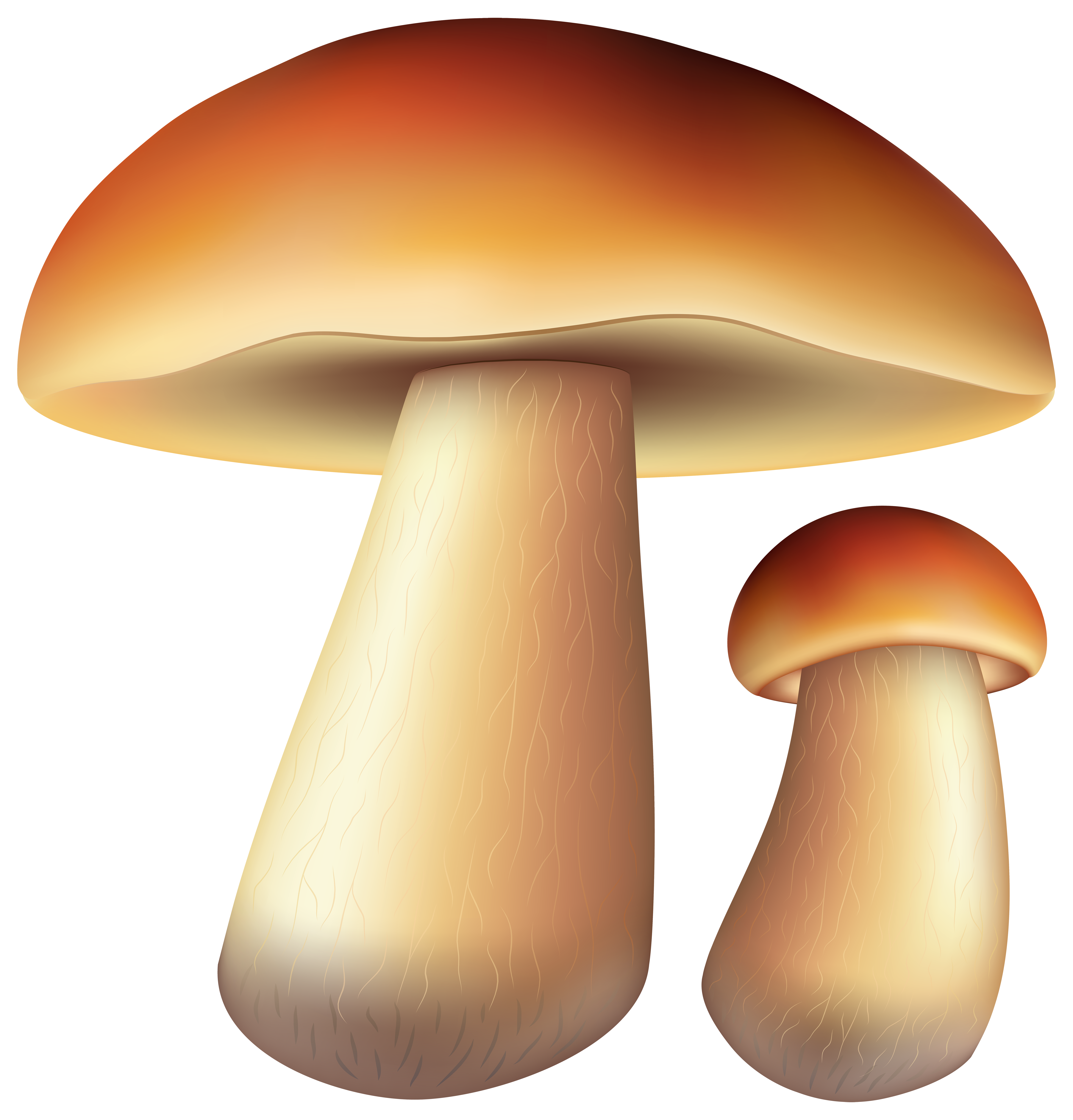 Mushrooms Free PNG Clip Art Image.