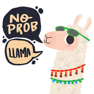 No Prob llama 2 1 by CarbyCo.