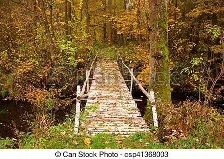 Stock Photography of Natural bridge created from birch trunks with.