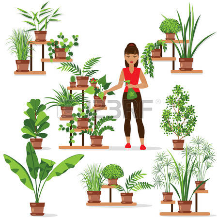 987,047 Plant Stock Vector Illustration And Royalty Free Plant Clipart.