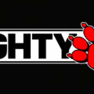 Naughty Dog, Inc. (Company).