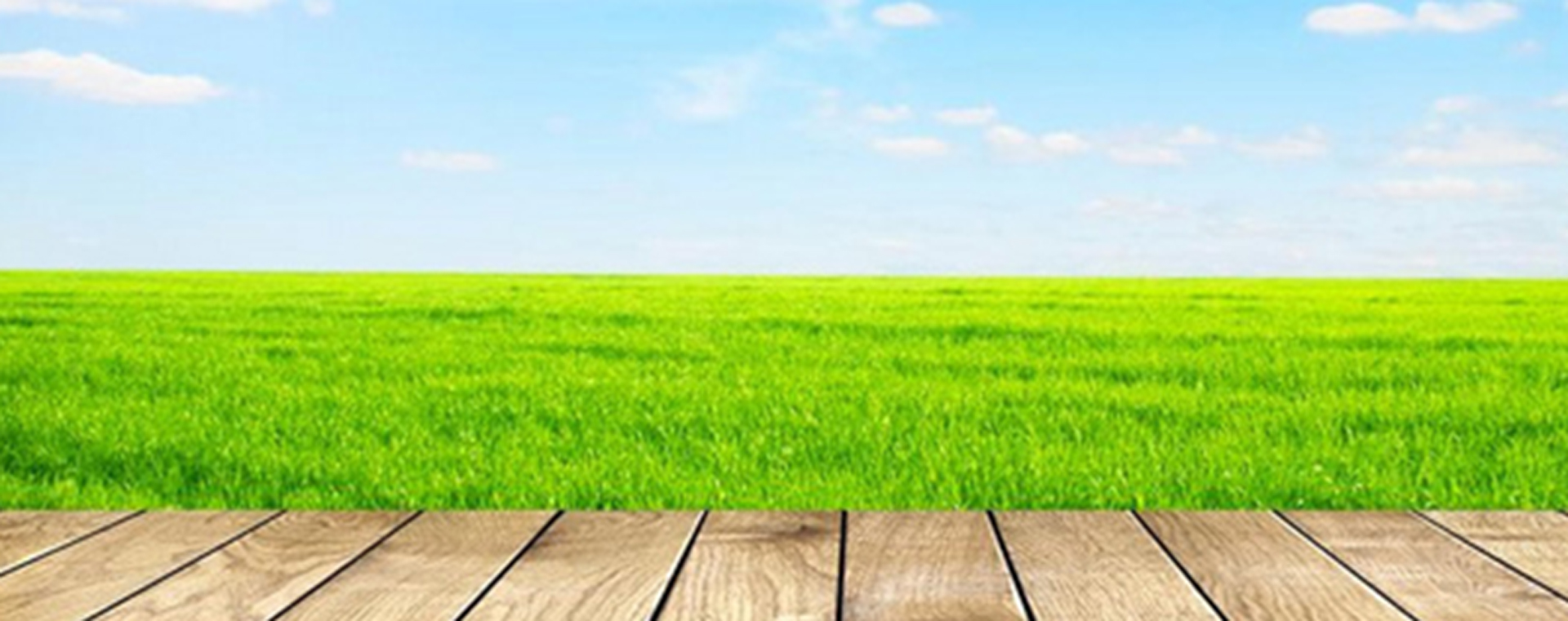 Nature Background Background Photos, Nature Background.