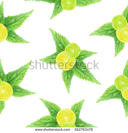 Nettle Leaf Stock Vectors, Images & Vector Art.