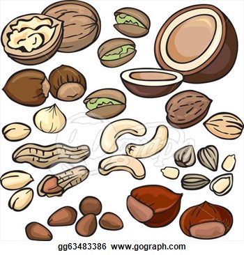 Food Nuts Clipart.