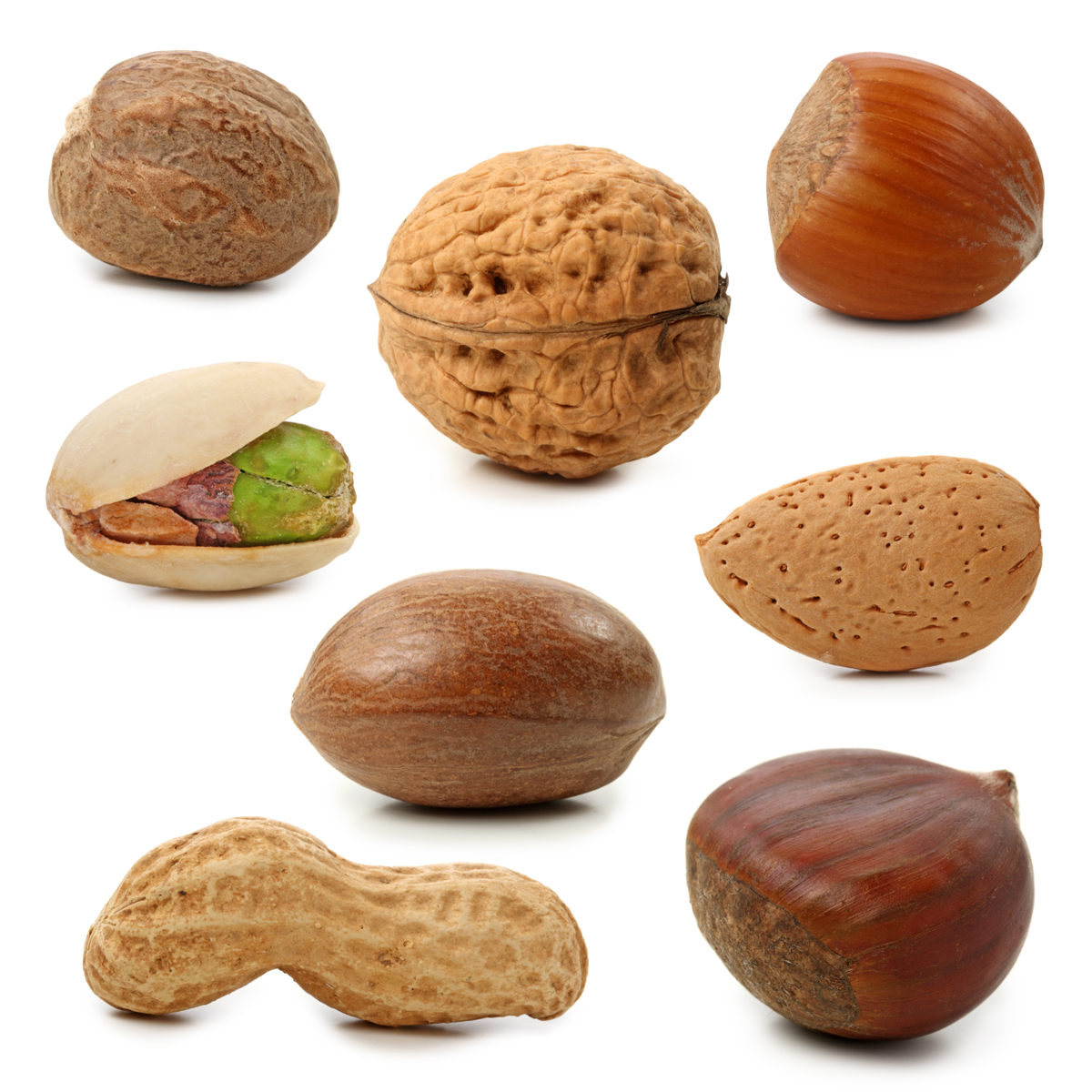 478 Nuts free clipart.