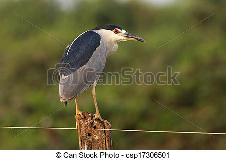 Stock Photography of Black.