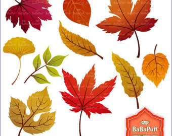 Fall leaf clip art.