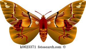 Moth Clipart and Stock Illustrations. 9,910 moth vector EPS.