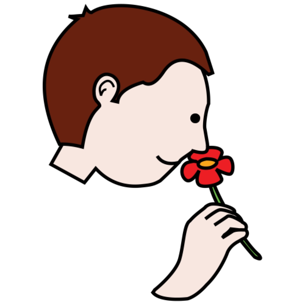 clipart nose smelling clipart nose smelling smell clipart clipart.