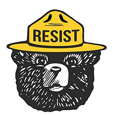 Resist Smokey Bear Decal Laptop Macbook Car Printed Sticker.