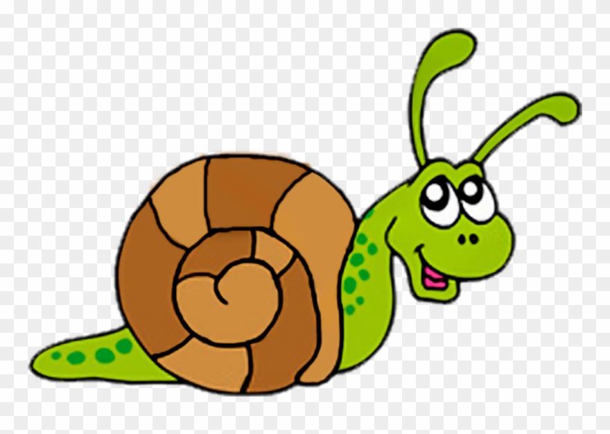 Snail Clip Art.