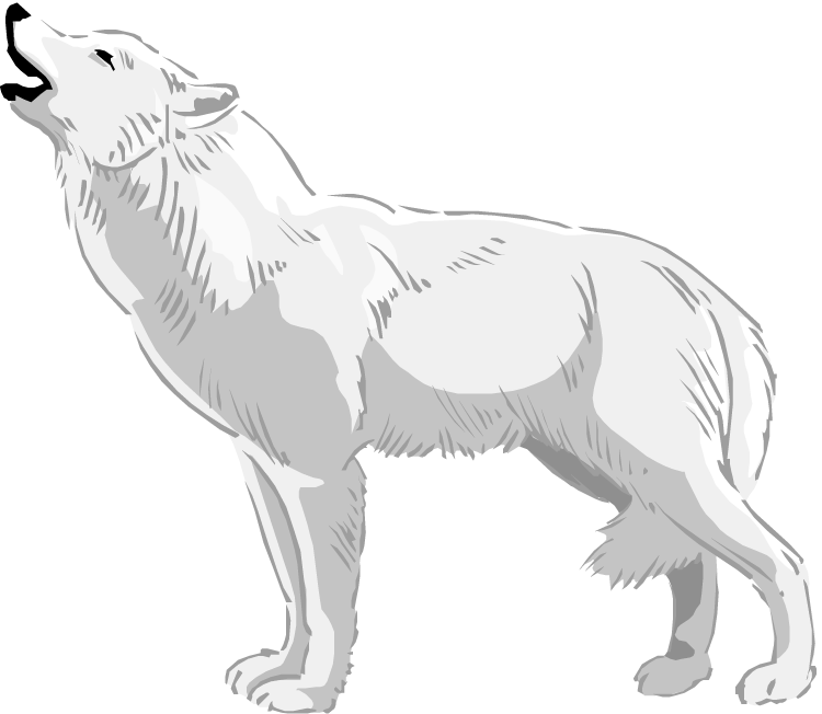 HD Wolves Clipart Real Wolf.