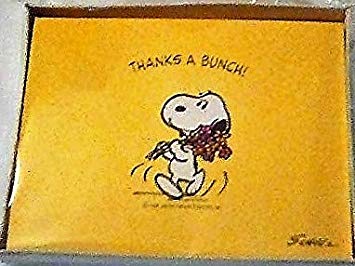 Amazon.com: Vintage Peanuts Snoopy Thank You Cards/Notes.