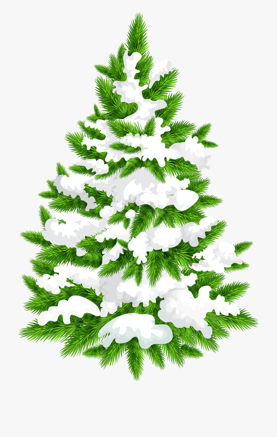 Image Library Library Snowy Tree Png Clip.