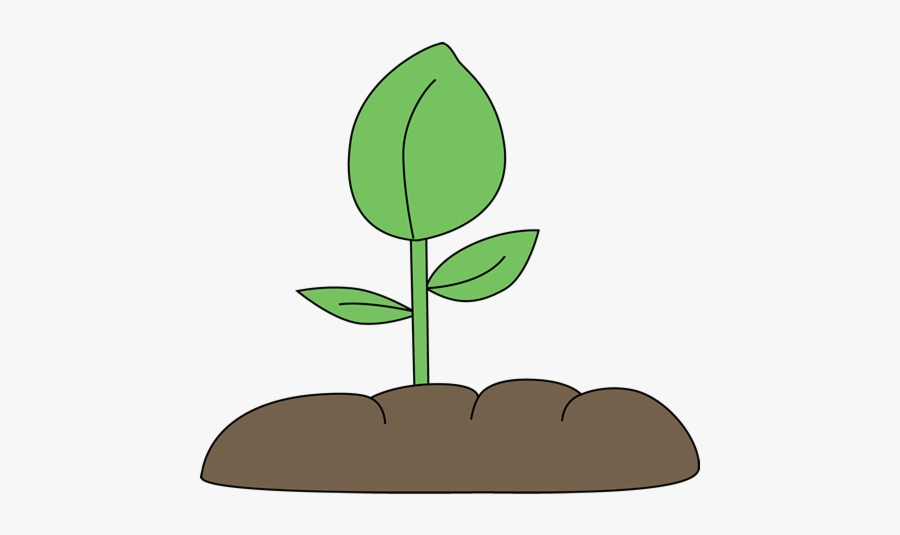 Soil Plant In Clip Art Clipart Free Transparent Png.