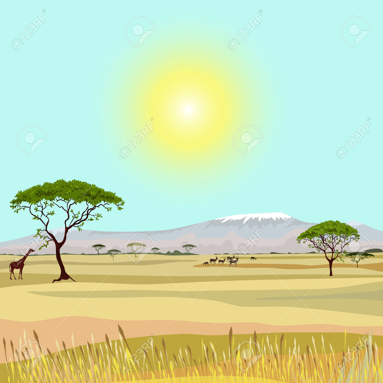 11,138 Savanna Stock Vector Illustration And Royalty Free Savanna.