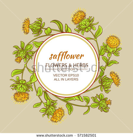 Safflower Stock Images, Royalty.