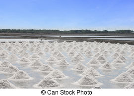 Clipart of Salt pans.