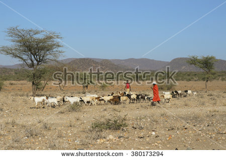 Samburu Stock Photos, Royalty.