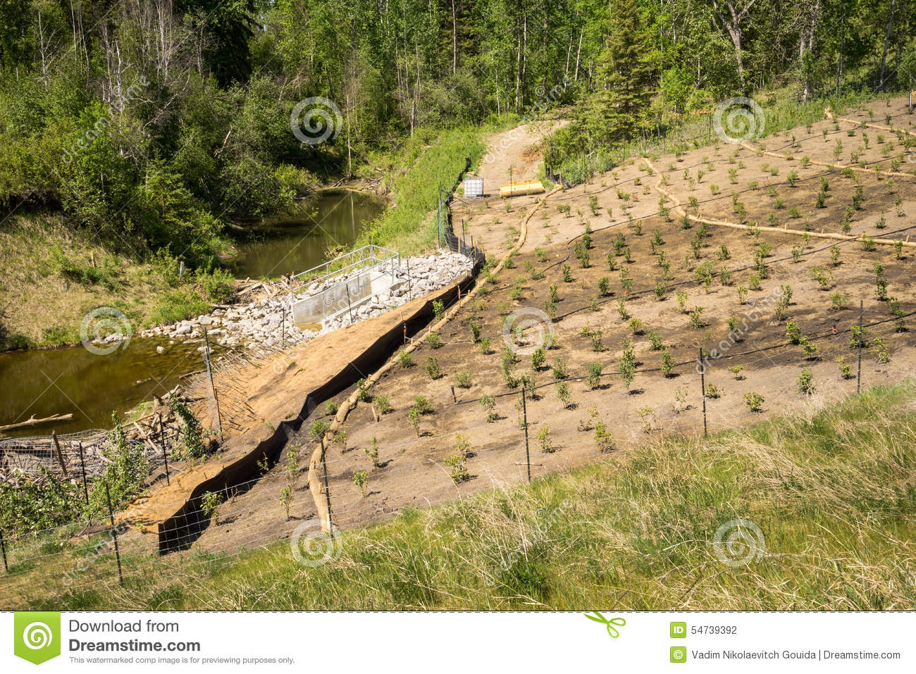 Erosion Control On A Slope Landscape Project Stock Photo.