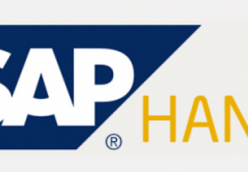 Five Reasons to Love SAP HANA.