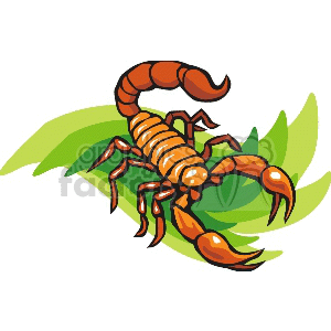 scorpions clipart.