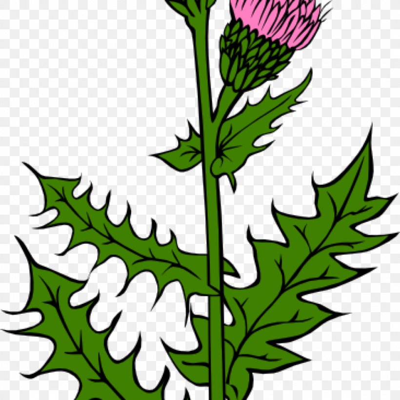 Flag Of Scotland Thistle Clip Art Vector Graphics, PNG.