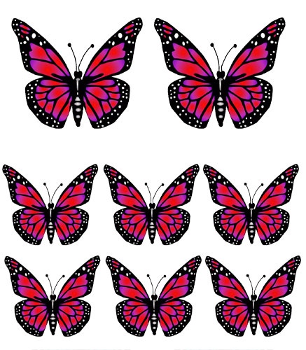 Pictures Of Butterflies.