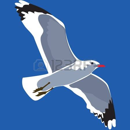 657 Seabird Cliparts, Stock Vector And Royalty Free Seabird.