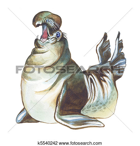 Elephant Seal Clipart.