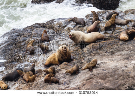 Lion Cave Stock Images, Royalty.