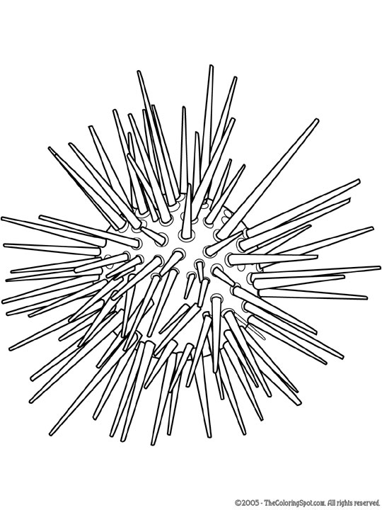 Showing post & media for White sea urchin cartoon.