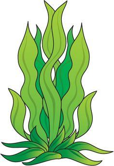 Seaweed Clipart.