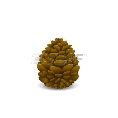 842 Seed Cones Stock Vector Illustration And Royalty Free Seed.