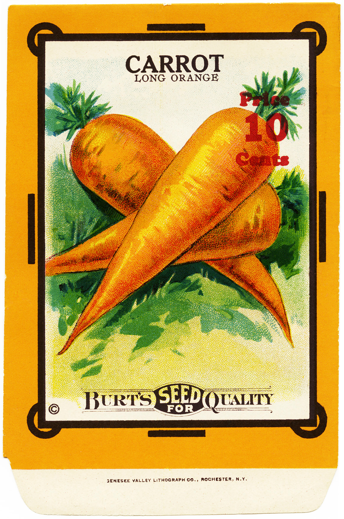 1000+ images about Seed Packets on Pinterest.