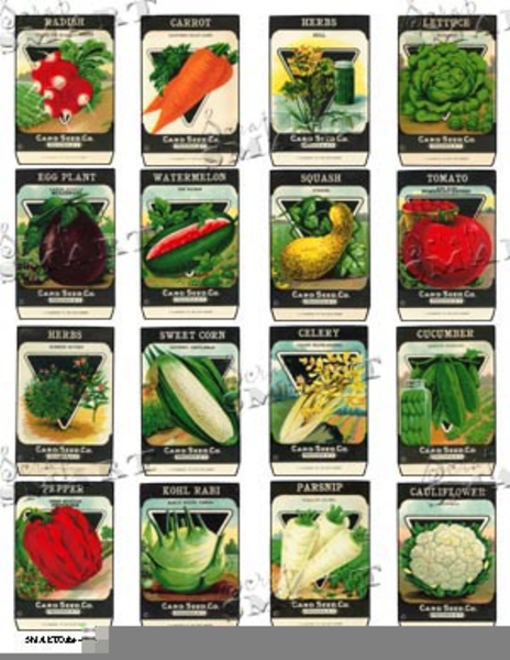 Vintage Seed Packets Clipart.