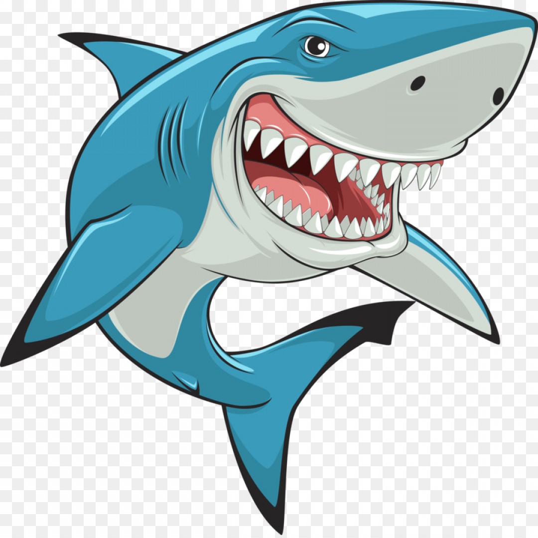 Png Hammerhead Shark Great White Shark Clip Art Vector.