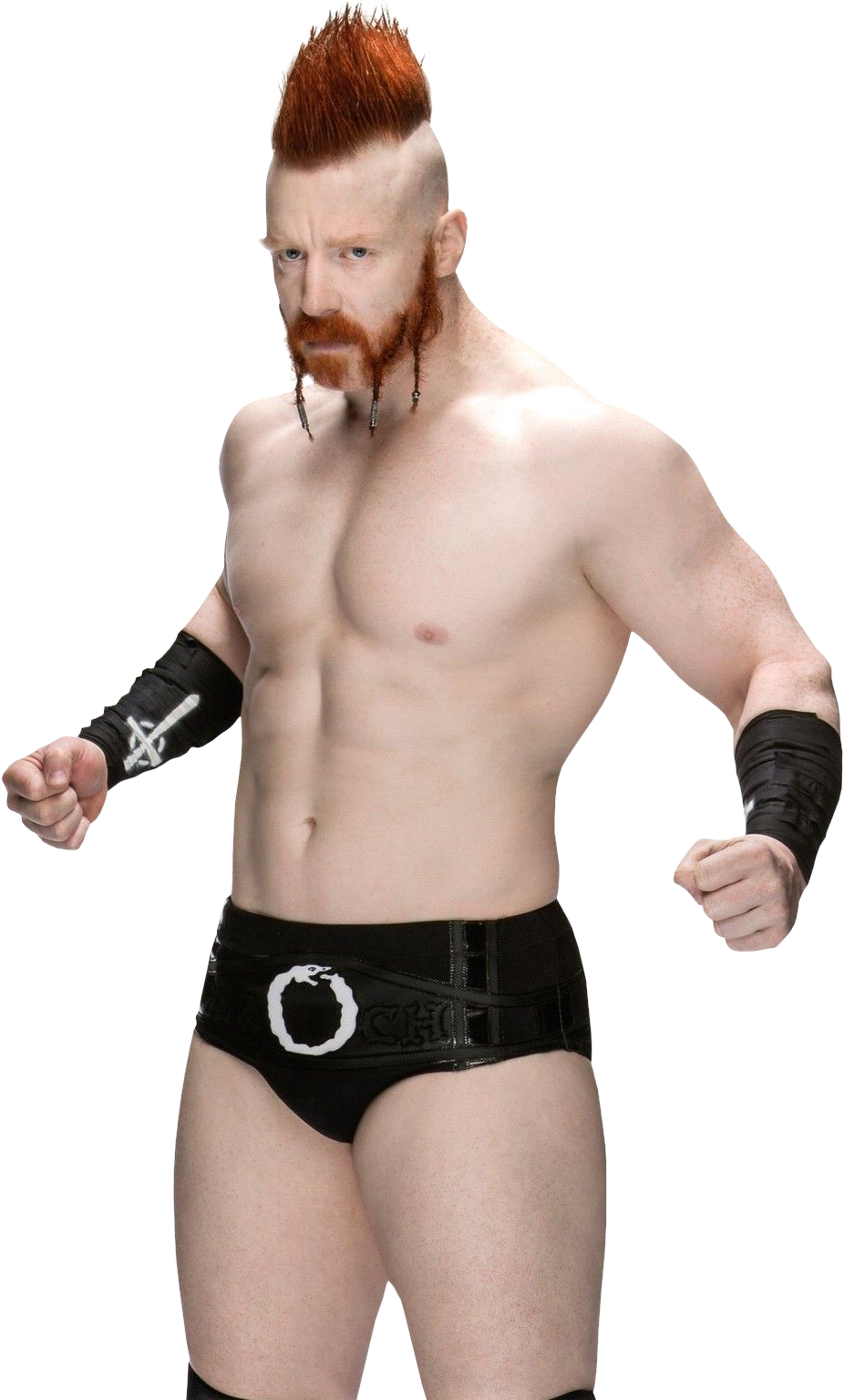 Download Sheamus Free Download HQ PNG Image.