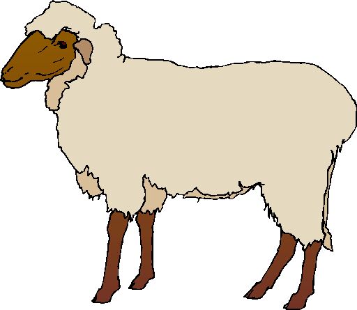 Free Sheep Images, Download Free Clip Art, Free Clip Art on.