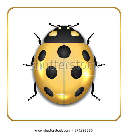 Golden Beetle Stock Images, Royalty.