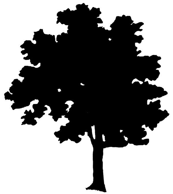 17 Best ideas about Tree Silhouette on Pinterest.